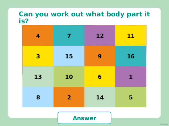 Can you work out what body part it is? 10 11 4 2 15 14 7 6 9 5 1 13 12 16 8 3 nose Answer 