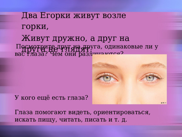 Два Егорки живут возле горки, Живут дружно, а друг на друга не глядят. Посмотрите друг на друга, одинаковые ли у вас глаза? Чем они различаются? У кого ещё есть глаза? Глаза помогают видеть, ориентироваться, искать пищу, читать, писать и т. д. 