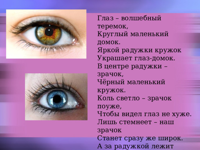 Глаз – волшебный теремок, Круглый маленький домок. Яркой радужки кружок Украшает глаз-домок. В центре радужки – зрачок, Чёрный маленький кружок. Коль светло – зрачок поуже, Чтобы видел глаз не хуже. Лишь стемнеет – наш зрачок Станет сразу же широк. А за радужкой лежит Маленький хрусталик. Он такой имеет вид, Как стеклянный шарик. Очень хрупок этот дом, Тонки, нежны стенки в нём. 