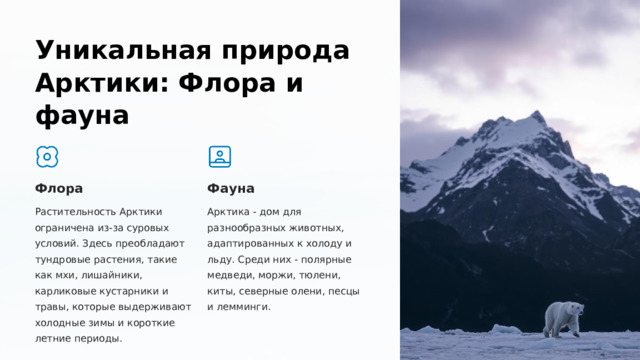  Уникальная природа Арктики: Флора и фауна Флора Фауна Растительность Арктики ограничена из-за суровых условий. Здесь преобладают тундровые растения, такие как мхи, лишайники, карликовые кустарники и травы, которые выдерживают холодные зимы и короткие летние периоды. Арктика - дом для разнообразных животных, адаптированных к холоду и льду. Среди них - полярные медведи, моржи, тюлени, киты, северные олени, песцы и лемминги. 