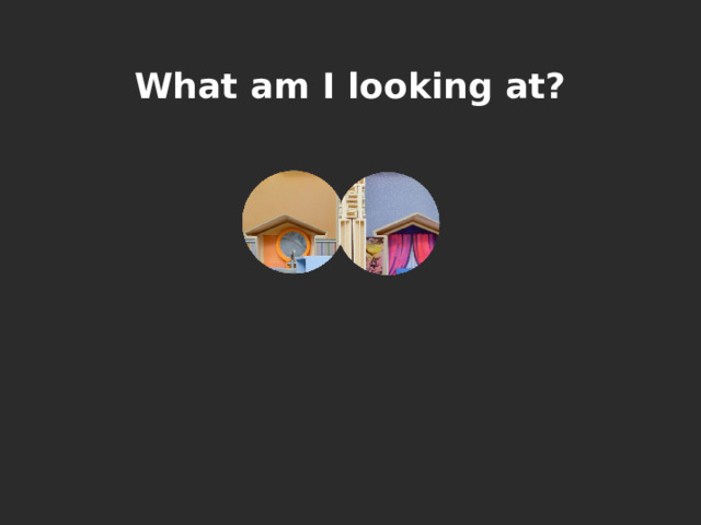 What am I looking at? 