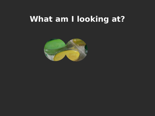 What am I looking at? 
