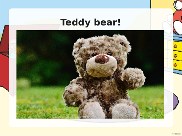 Teddy bear! 
