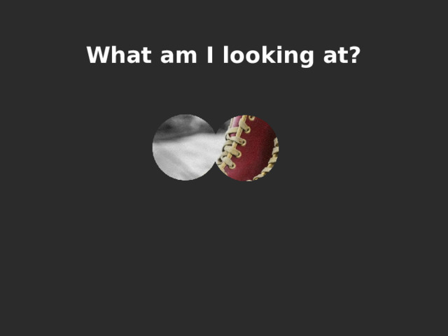 What am I looking at? 