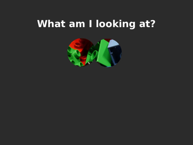 What am I looking at? 