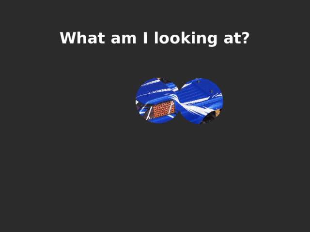 What am I looking at? 