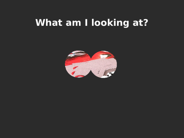 What am I looking at? 