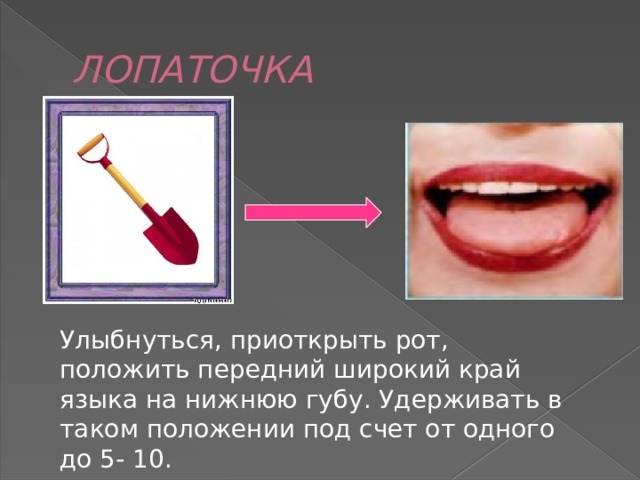ЛОПАТОЧКА Улыбнуться, приоткрыть рот, положить передний широкий край языка на нижнюю губу. Удерживать в таком положении под счет от одного до 5- 10. 