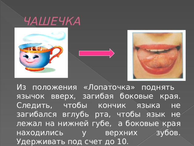 ЧАШЕЧКА Из положения «Лопаточка» поднять язычок вверх, загибая боковые края. Следить, чтобы кончик языка не загибался вглубь рта, чтобы язык не лежал на нижней губе, а боковые края  находились у верхних зубов. Удерживать под счет до 10. 
