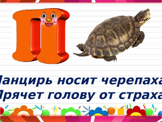 Панцирь носит черепаха, Прячет голову от страха. 
