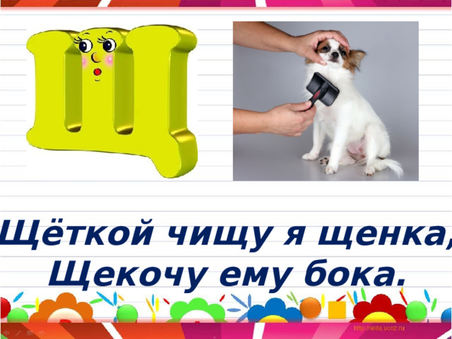 Щёткой чищу я щенка, Щекочу ему бока. 