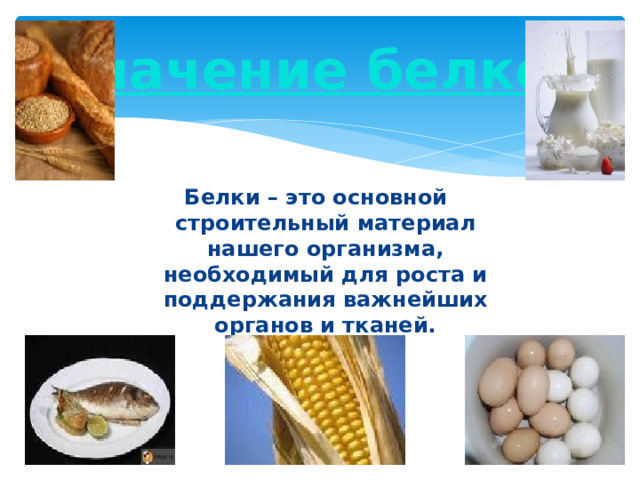 Значение белков Белки – это основной строительный материал нашего организма, необходимый для роста и поддержания важнейших органов и тканей. 