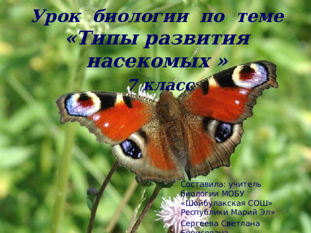 Урок биологии по теме  «Типы развития насекомых »   7 класс Составила: учитель биологии МОБУ «Шойбулакская СОШ» Республики Марий Эл» Сергеева Светлана Борисована 