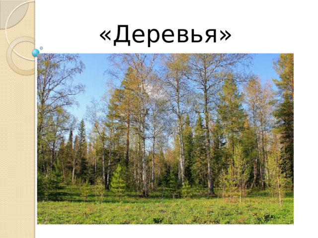 «Деревья» 