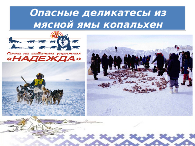  Опасные деликатесы из мясной ямы копальхен   