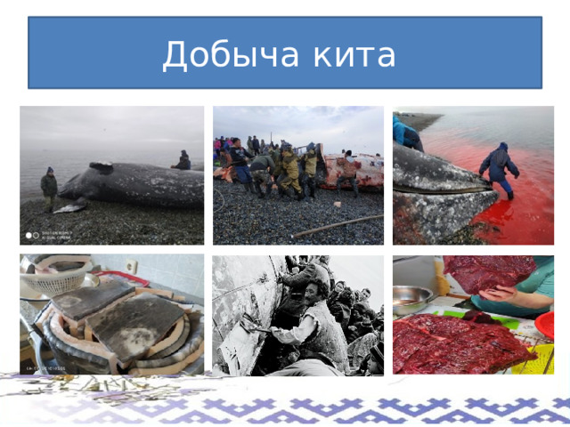 Добыча кита 