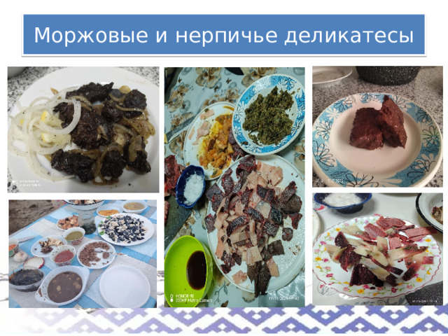 Моржовые и нерпичье деликатесы 