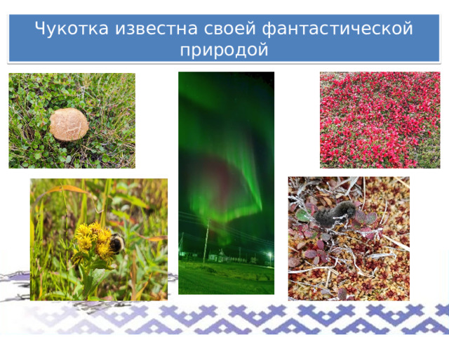 Чукотка известна своей фантастической природой 