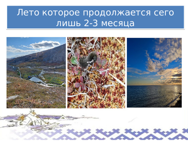 Лето которое продолжается сего лишь 2-3 месяца 
