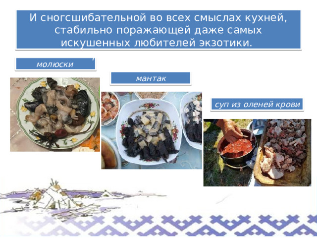 суп из оленей крови И сногсшибательной во всех смыслах кухней, стабильно поражающей даже самых искушенных любителей экзотики. Мал молюски мантак 