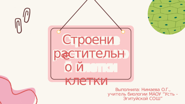 Строение растительно й  клетки Выполнила:  Нимаева  О.Г.,  учитель биологии  МАОУ  “Усть  -  Эгитуйской СОШ” 