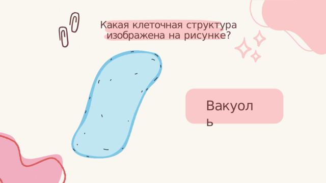 Какая  клеточная  структура изображена  на  рисунке? Вакуоль 