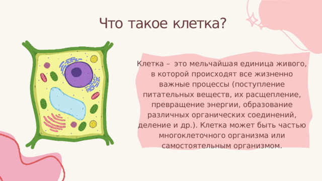 Что  такое  клетка? Клетка  –  это  мельчайшая  единица  живого,  в которой  происходят  все  жизненно  важные процессы  (поступление  питательных  веществ,  их расщепление,  превращение  энергии, образование  различных  органических соединений,  деление  и  др.).  Клетка  может  быть частью  многоклеточного  организма  или самостоятельным  организмом. 