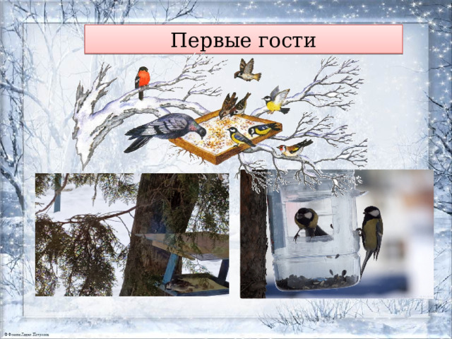 Первые гости 