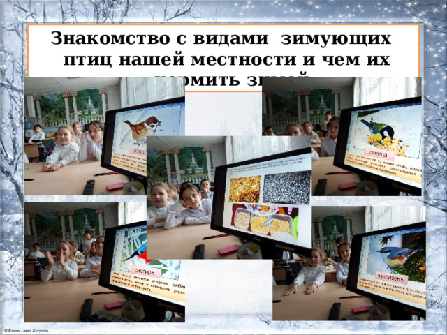 Знакомство с видами зимующих  птиц нашей местности и чем их кормить зимой 