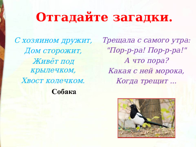 Отгадайте загадки. С хозяином дружит, Дом сторожит, Живёт под крылечком, Хвост колечком. Трещала с самого утра: 