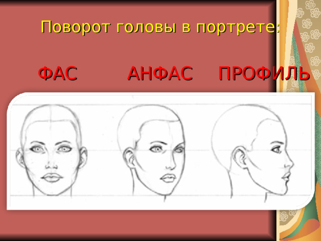 Поворот головы в портрете: ФАС АНФАС ПРОФИЛЬ 