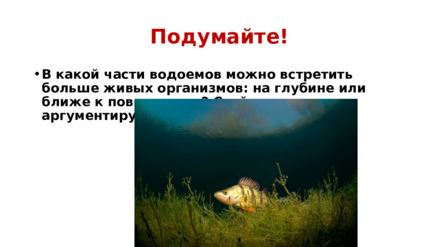 Подумайте! В какой части водоемов можно встретить больше живых организмов: на глубине или ближе к поверхности? Свой ответ аргументируйте  