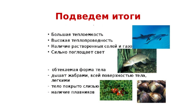 Подведем итоги 
