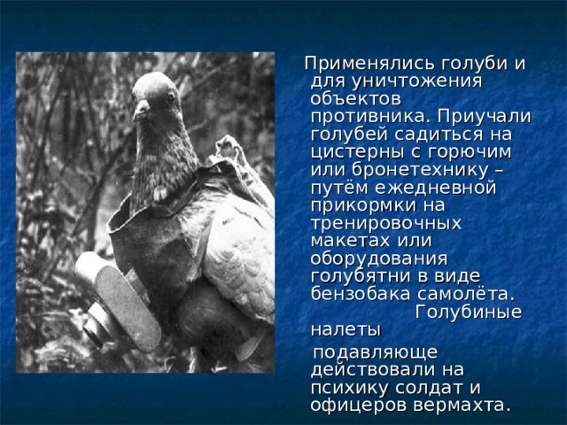  Применялись голуби и для уничтожения объектов противника. Приучали голубей садиться на цистерны с горючим или бронетехнику – путём ежедневной прикормки на тренировочных макетах или оборудования голубятни в виде бензобака самолёта. Голубиные налеты  подавляюще действовали на психику солдат и офицеров вермахта.  