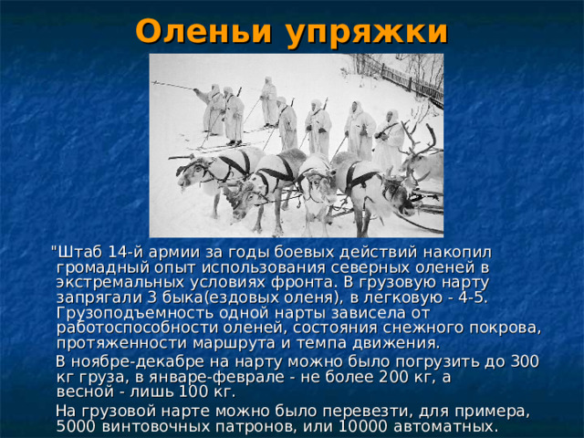 Оленьи упряжки  