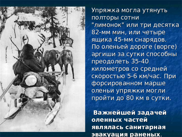  Упряжка могла утянуть полторы сотни 