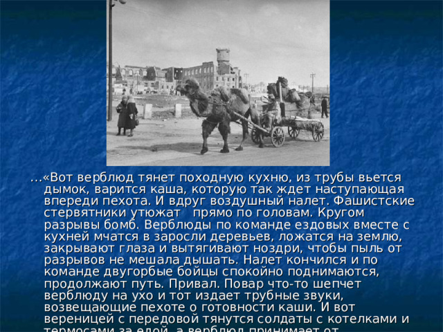  … «Вот верблюд тянет походную кухню, из трубы вьется дымок, варится каша, которую так ждет наступающая впереди пехота. И вдруг воздушный налет. Фашистские стервятники утюжат прямо по головам. Кругом разрывы бомб. Верблюды по команде ездовых вместе с кухней мчатся в заросли деревьев, ложатся на землю, закрывают глаза и вытягивают ноздри, чтобы пыль от разрывов не мешала дышать. Налет кончился и по команде двугорбые бойцы спокойно поднимаются, продолжают путь. Привал. Повар что-то шепчет верблюду на ухо и тот издает трубные звуки, возвещающие пехоте о готовности каши. И вот вереницей с передовой тянутся солдаты с котелками и термосами за едой, а верблюд принимает от благодарных солдат сахар». 