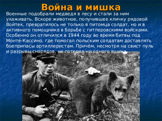 Война и мишка Военные подобрали медведя в лесу и стали за ним ухаживать. Вскоре животное, получившее кличку рядовой Войтек, превратилось не только в питомца солдат, но и в активного помощника в борьбе с гитлеровскими войсками. Особенно он отличился в 1944 году во время битвы под Монте-Кассино, где помогал польским солдатам доставлять боеприпасы артиллеристам. Причём, несмотря на свист пуль и разрывы снарядов, не потерял ни одного ящика.   