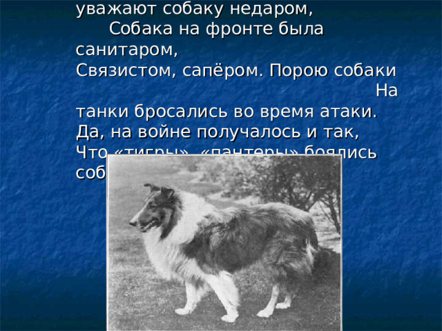    У нас уважают собаку недаром, Собака на фронте была санитаром,  Связистом, сапёром. Порою собаки На танки бросались во время атаки.  Да, на войне получалось и так,  Что «тигры», «пантеры» боялись собак. 