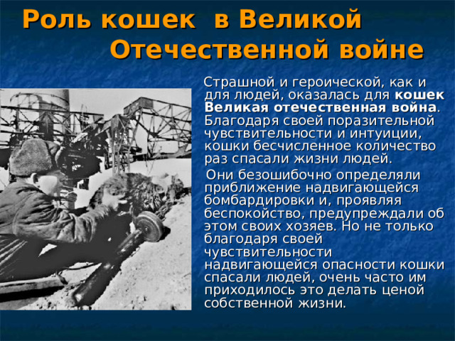 Роль кошек в Великой Отечественной войне  Страшной и героической, как и для людей, оказалась для  кошек Великая отечественная война . Благодаря своей поразительной чувствительности и интуиции, кошки бесчисленное количество раз спасали жизни людей.  Они безошибочно определяли приближение надвигающейся бомбардировки и, проявляя беспокойство, предупреждали об этом своих хозяев. Но не только благодаря своей чувствительности надвигающейся опасности кошки спасали людей, очень часто им приходилось это делать ценой собственной жизни. 