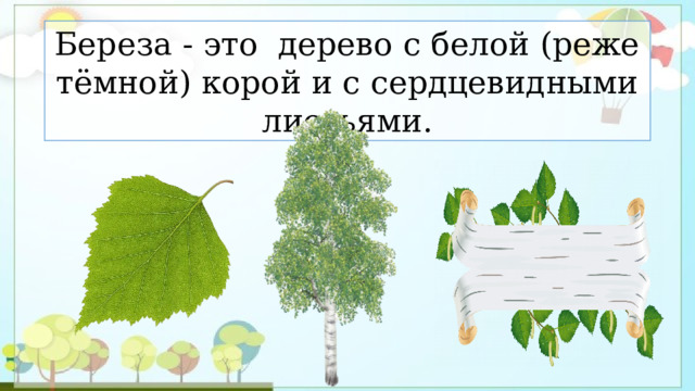 Береза - это дерево с белой (реже тёмной) корой и с сердцевидными листьями. 
