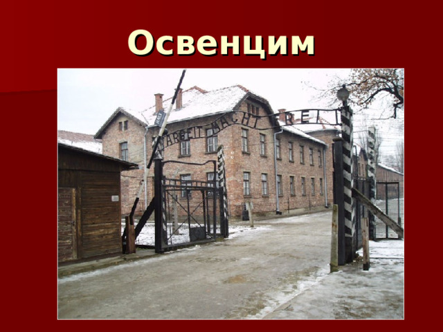 Освенцим 