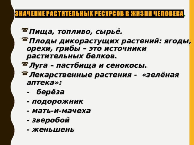 Пища, топливо, сырьё. Плоды дикорастущих растений: ягоды, орехи, грибы – это источники растительных белков. Луга – пастбища и сенокосы. Лекарственные растения - «зелёная аптека»:  -  берёза  - подорожник  - мать-и-мачеха  - зверобой  - женьшень  