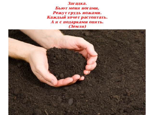 Загадка. Бьют меня ногами, Режут грудь ножами. Каждый хочет растоптать. А я с подарками опять. (Земля) 