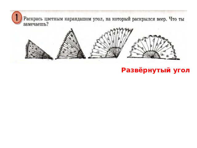 Развёрнутый угол 