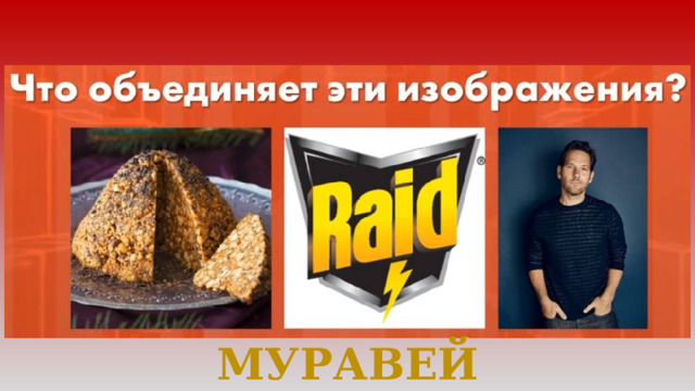 МУРАВЕЙ 