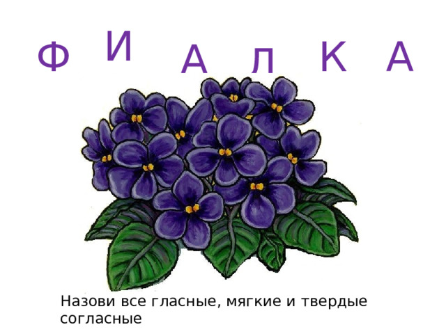 И Ф К А А Л Назови все гласные, мягкие и твердые согласные 