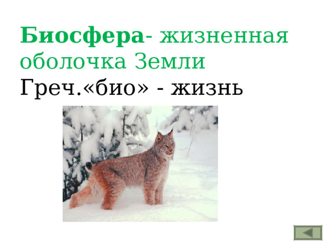 Биосфера - жизненная оболочка Земли Греч.«био» - жизнь 