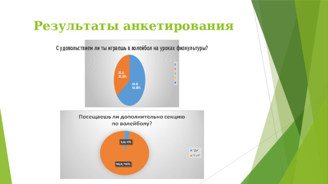 Результаты анкетирования 