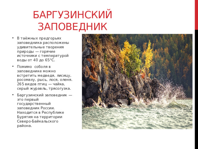 Баргузинский заповедник В таёжных предгорьях заповедника расположены удивительные творения природы — горячие источники с температурой воды от 40 до 65°С.  Помимо  соболя в заповеднике можно встретить медведя, лисицу, росомаху, рысь, лося, оленя. 265 видов птиц — чайка, серый журавль, трясогузка. Баргузинский заповедник — это первый государственный заповедник России. Находится в Республике Бурятия на территории Северо-Байкальского района.  